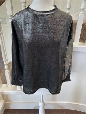 Nwt. Silver sparkle blouse